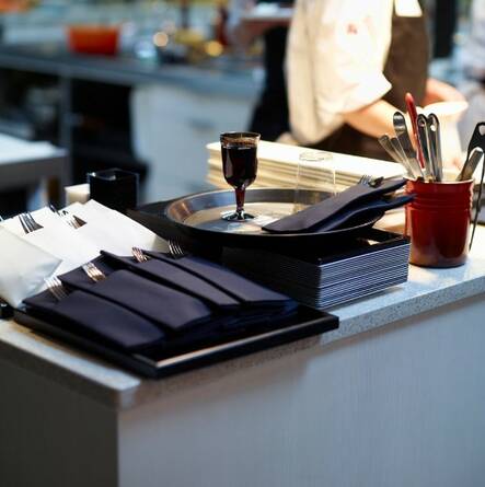 Lautasliina 40x48cm DUNI Duniletto - Servietit ja lautasliinat - 150650 - 2