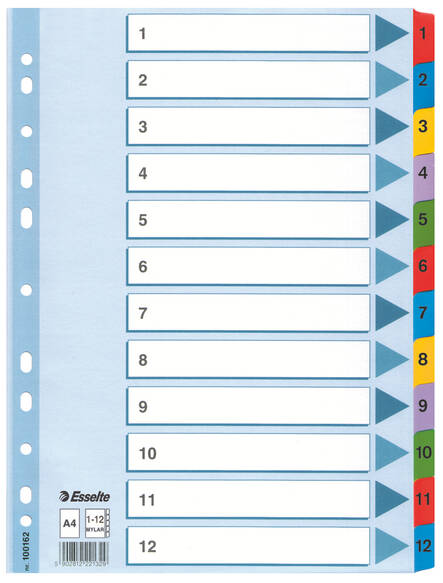Rekisteri 1-12 A4 ESSELTE kartonki Mylar - Rekisterisarjat, muoviset - 117740 - 1