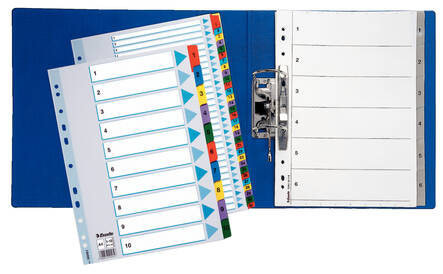 Rekisteri 1-12 A4 ESSELTE kartonki Mylar - Rekisterisarjat, muoviset - 117740 - 2
