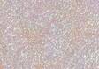 Glitteriliima 50ml - Craft supplies - 137800 - 2