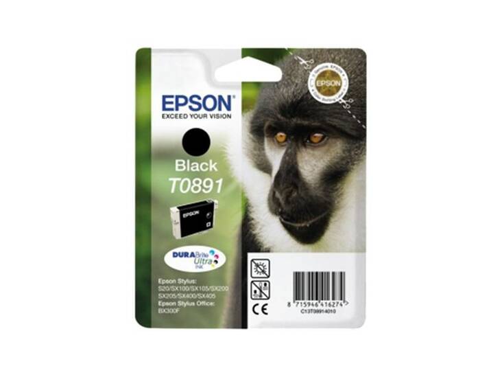 EPSON T0891 mustesuihku - Epson inkjet cartridges - 120530 - 1