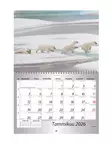 Seinäkalenteri 2026 - Wall calendars - 185281 - 2