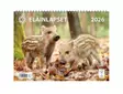 Seinäkalenteri 2026 - Wall calendars - 185281 - 1