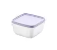 Pakasterasia 0,5L SmartStore Frost - Plastic containers and storage - 182601 - 1