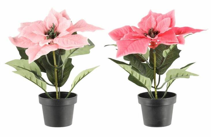 Joulutähti ruukussa 20cm - Christmas decorations - 172641 - 1