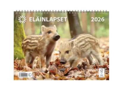 Seinäkalenteri 2026 - Wall calendars - 185281 - 1