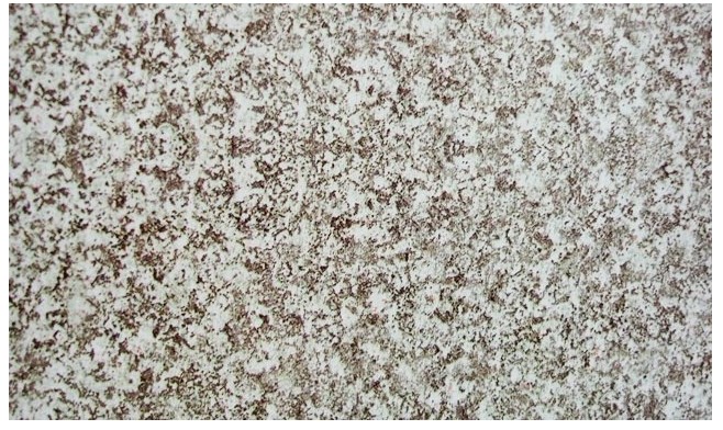 Kontaktimuovi 45x200cm Granit Grau - Kontaktimuovit - 180582 - 1