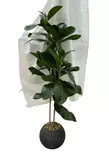 Viherkasvi muoviruukussa 90cm - Artificial plants and flowers - 182603 - 1