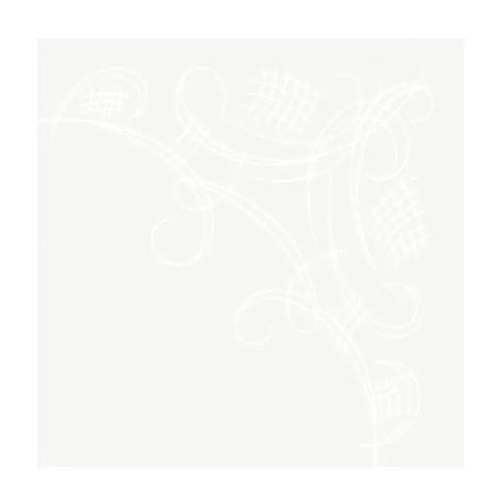 Valkoinen, 2-krs, 40kpl/pkt - Napkins and paper serviettes - 186843 - 1