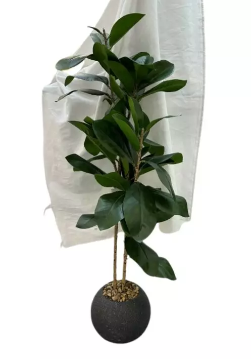Viherkasvi muoviruukussa 90cm - Artificial plants and flowers - 182603 - 1