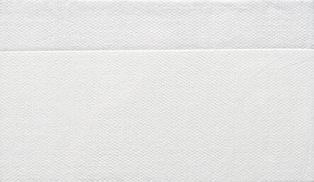 Lautasliina 33x33cm HAVI Pro Mini Dispo - Servietit ja lautasliinat - 157624 - 2