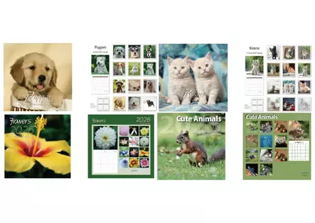 4 kuosivaihtoehtoa, 285x285mm - Wall calendars - 187934 - 1