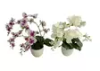 Orkidea ruukussa 14x45cm - Artificial plants and flowers - 182704 - 1