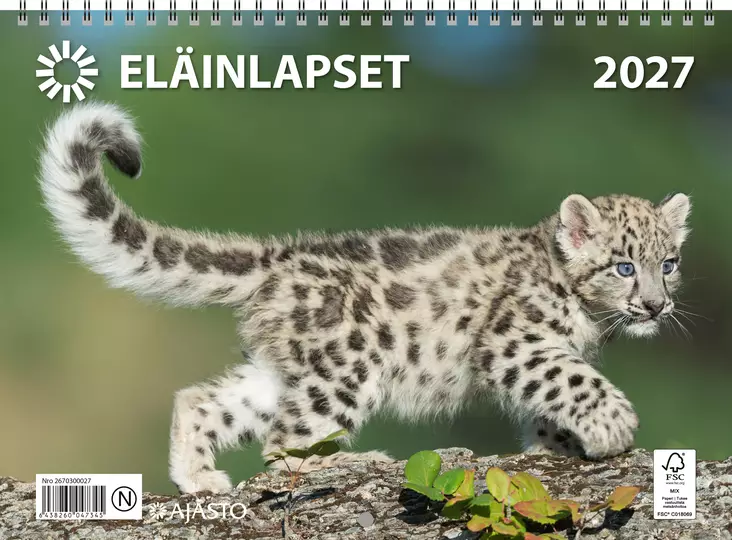 Seinäkalenteri 2027 - Wall calendars - 189454 - 1