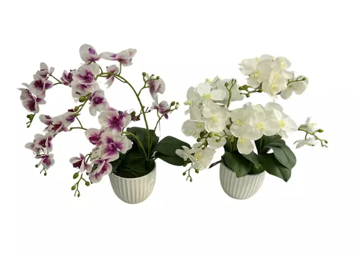 Orkidea ruukussa 14x45cm - Artificial plants and flowers - 182704 - 1