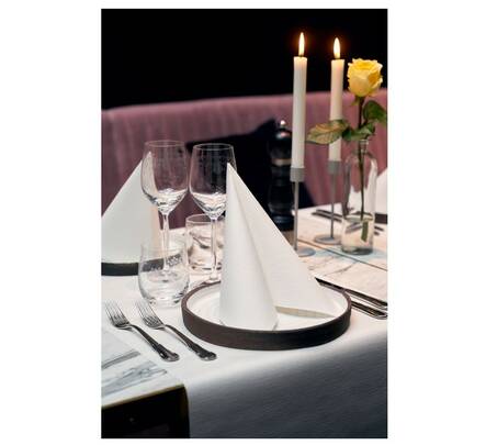 Lautasliina 48x48cm 1/4 DUNI Dunilin - Servietit ja lautasliinat - 161035 - 2