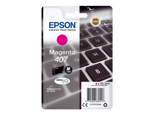 EPSON 407 mustesuihku - Epson inkjet cartridges - 168595 - 1