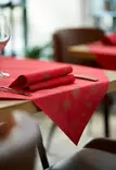 Stargazing Red, 3-krs, 60kpl/pkt - Napkins and paper serviettes - 185756 - 2