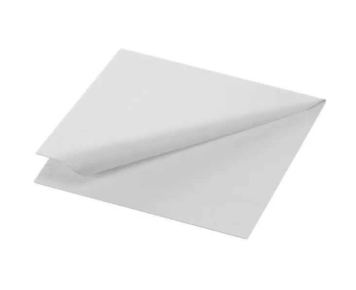 Lautasliina 24x24cm 1/4 DUNI Tissue - Servietit ja lautasliinat - 157556 - 1