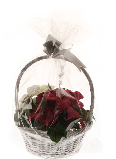 Sellofaanipussi litteä 60x80cm kirkas - Cellophane bags - 133827 - 1