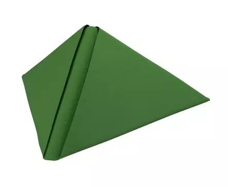 Lautasliina 40x40cm 1/4 DUNI Dunilin - Servietit ja lautasliinat - 173287 - 1