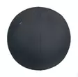 Aktiivipallo 55cm LEITZ Ergo - Työtuolit - 181738 - 1