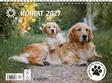 Seinäkalenteri 2027 - Wall calendars - 189458 - 1