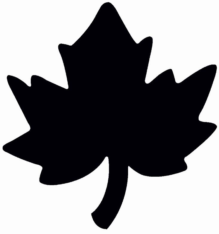 Kuviolävistäjä L/2,5cm HEYDA - Askartelutarvikkeet - 137618 - 1