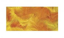 Pikkuhöyhenet 10g 3-10cm RAYHER - Craft supplies - 150758 - 1