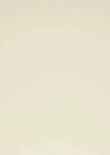 Kartonki A4 225g - Askartelutarvikkeet - 184638 - 1