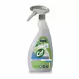 Cif Professional lasipinnoille - Glass and mirror cleaners - 161089 - 1
