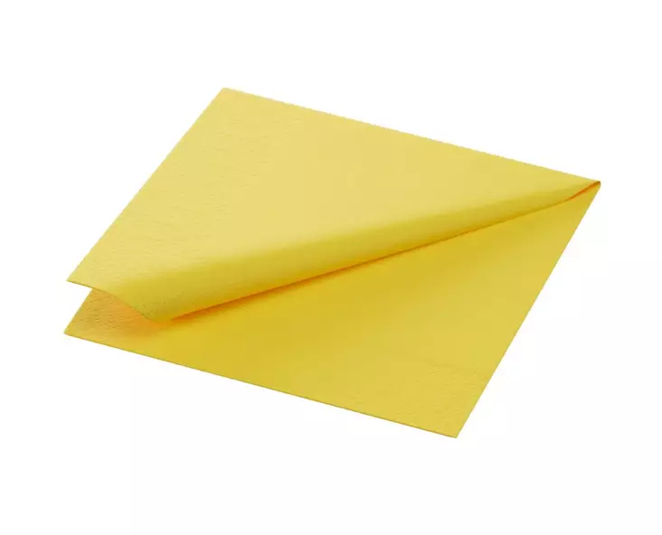 Lautasliina 24x24cm DUNI Tissue - Napkins and paper serviettes - 132349 - 1